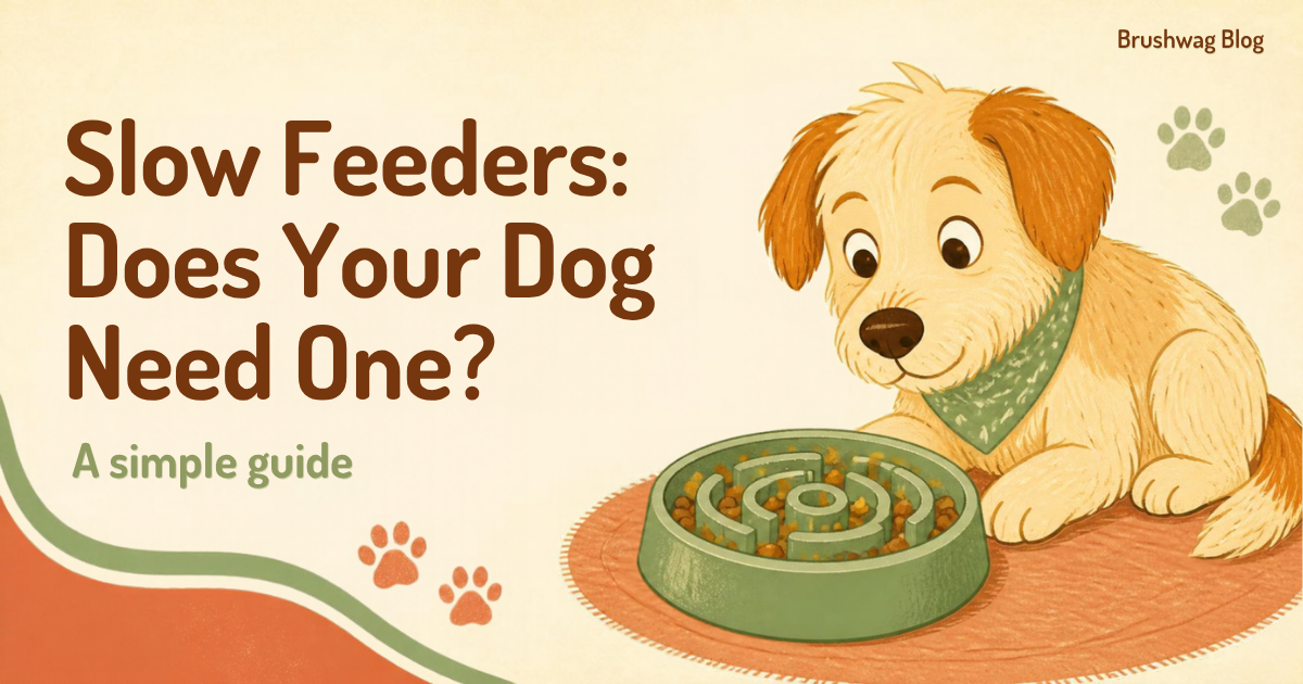Illustrated puppy looking into a maze slow feeder bowl with the title Slow Feeders: Does Your Dog Need One?