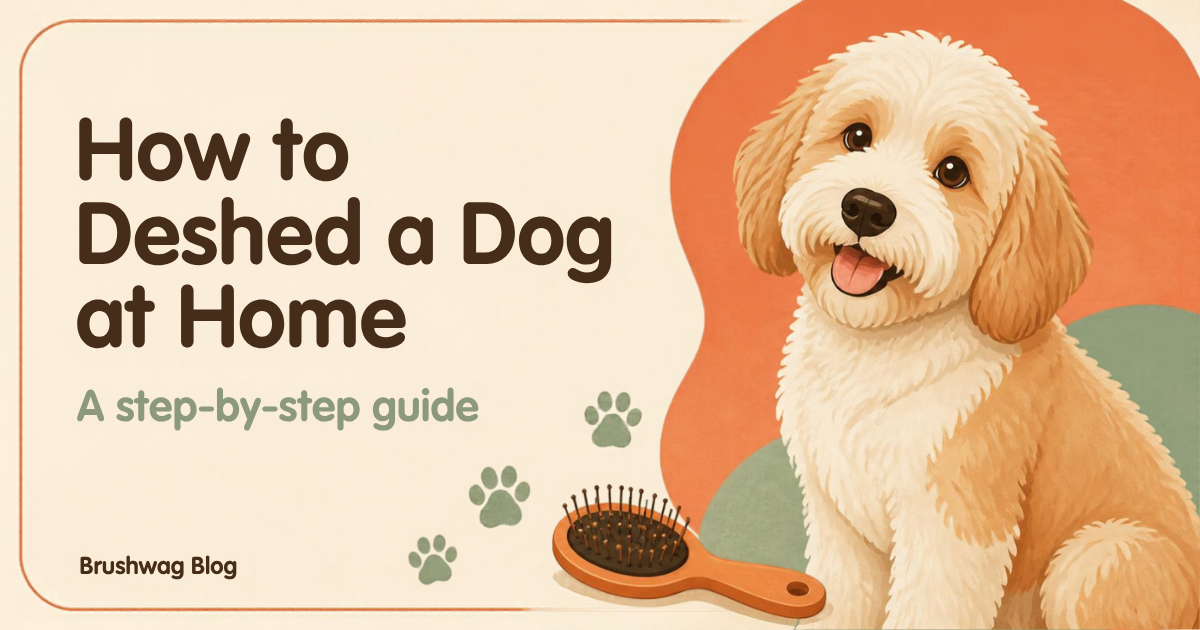 Illustrated fluffy dog beside a slicker brush with the title How to Deshed a Dog at Home