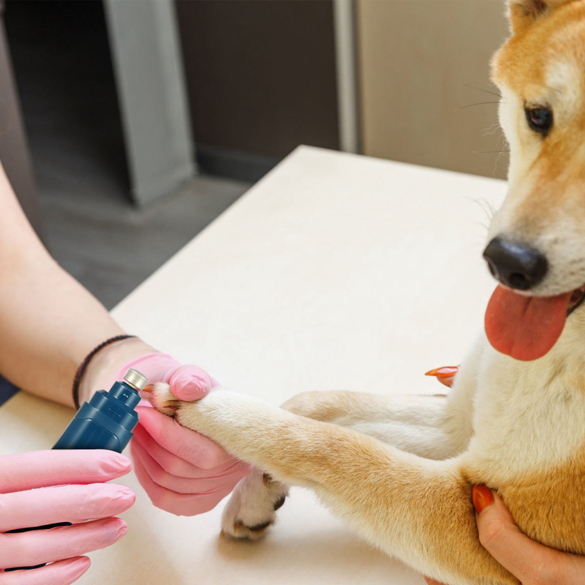 QuietTrim Rechargeable Dog Nail Grinder - view 6